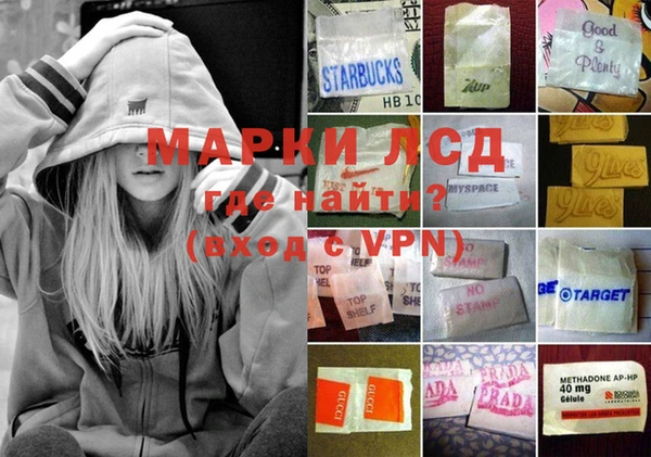 ГАЛЛЮЦИНОГЕННЫЕ ГРИБЫ Алексеевка