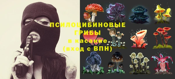 ГАЛЛЮЦИНОГЕННЫЕ ГРИБЫ Алексеевка